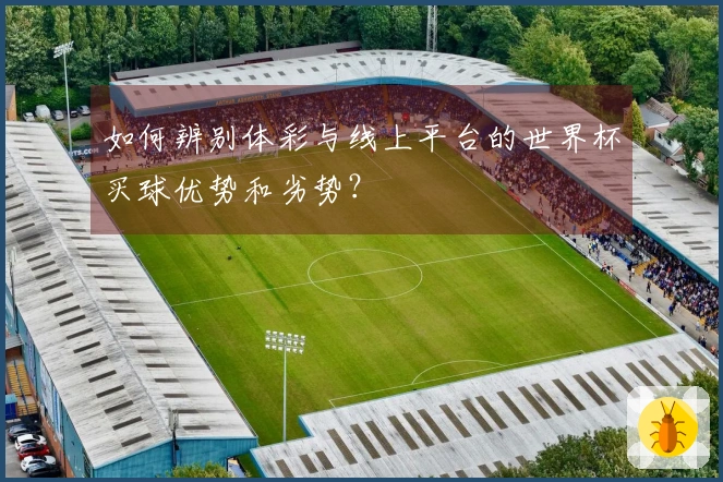 如何辨别体彩与线上平台的世界杯买球优势和劣势？