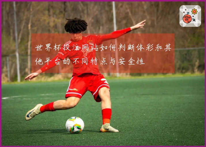 世界杯投注网站如何判断体彩和其他平台的不同特点与安全性