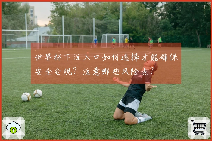 世界杯下注入口如何选择才能确保安全合规？注意哪些风险点？