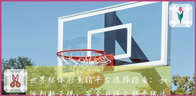 世界杯体彩竞猜平台选择指南：如何判断正规、安全且适合新手玩法