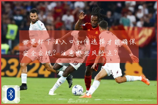 世界杯下注入口如何选择才能确保安全合规？注意哪些风险点？