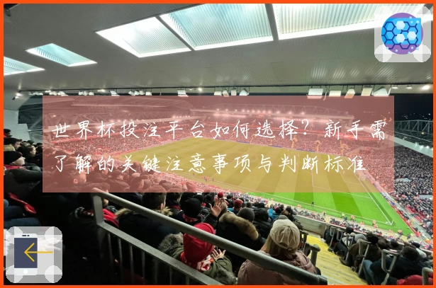 世界杯投注平台如何选择？新手需了解的关键注意事项与判断标准